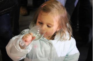 vino