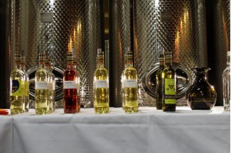 vino