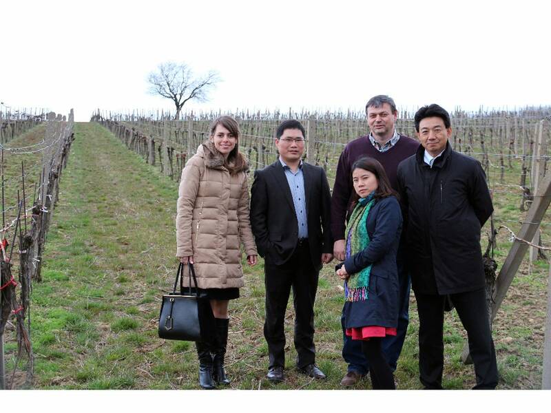 Visit of Noviny Vineyard in Modra