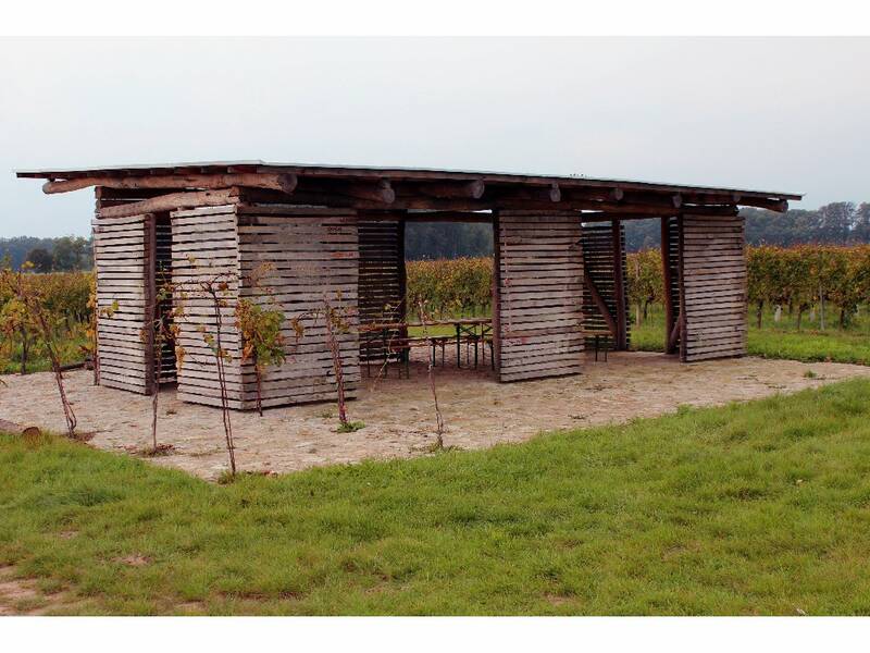 New shelter in the Dry Hill Vineyard