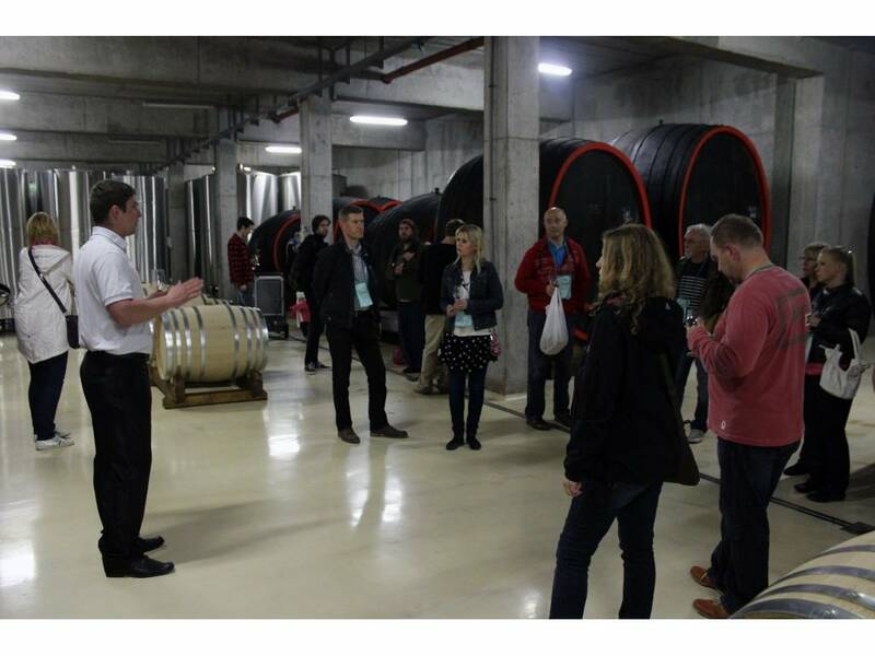 Visit of our cellar