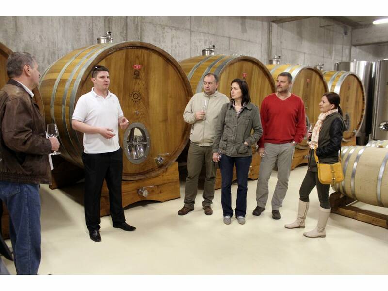 Visit of opur cellars