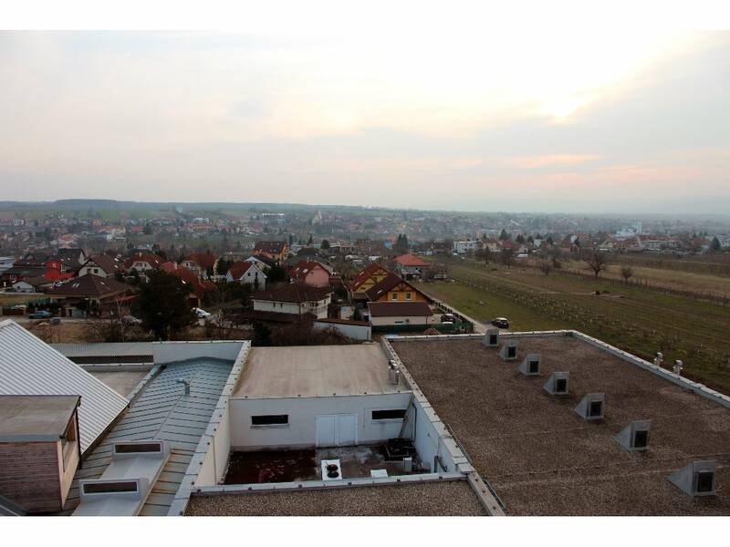 View on Šenkvice