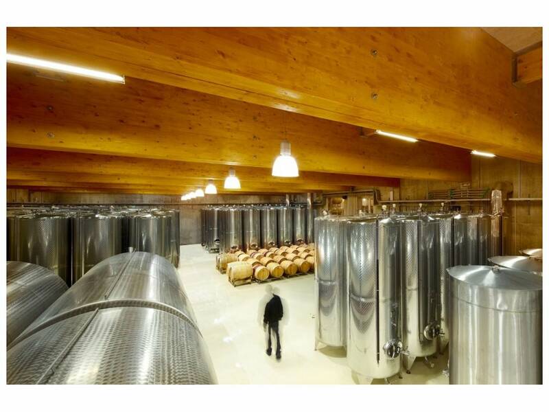 Our biggest cellar with tanks