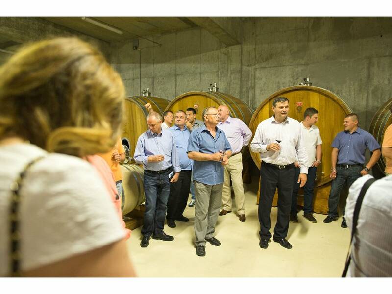 Visit of cellars