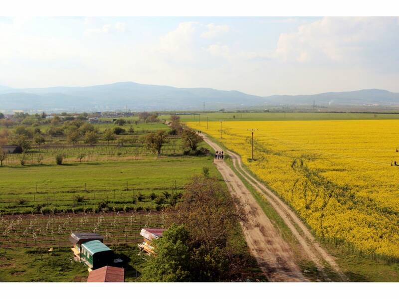 View from our watch-tower