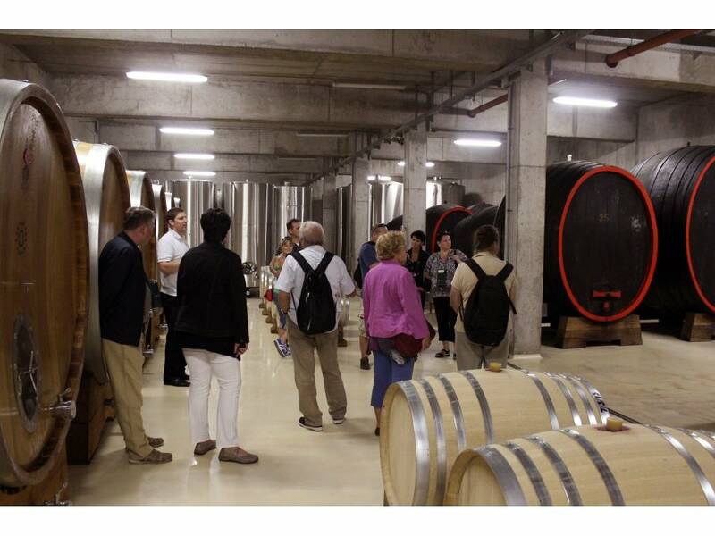Visit of our cellars