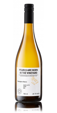 Sauvignon Blanc, BIO 2025