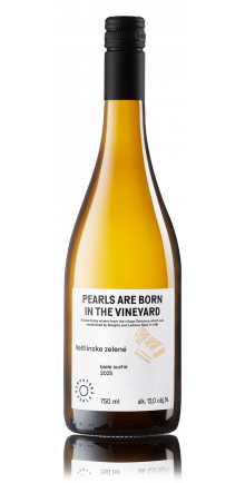 Veltlínske zelené 2025